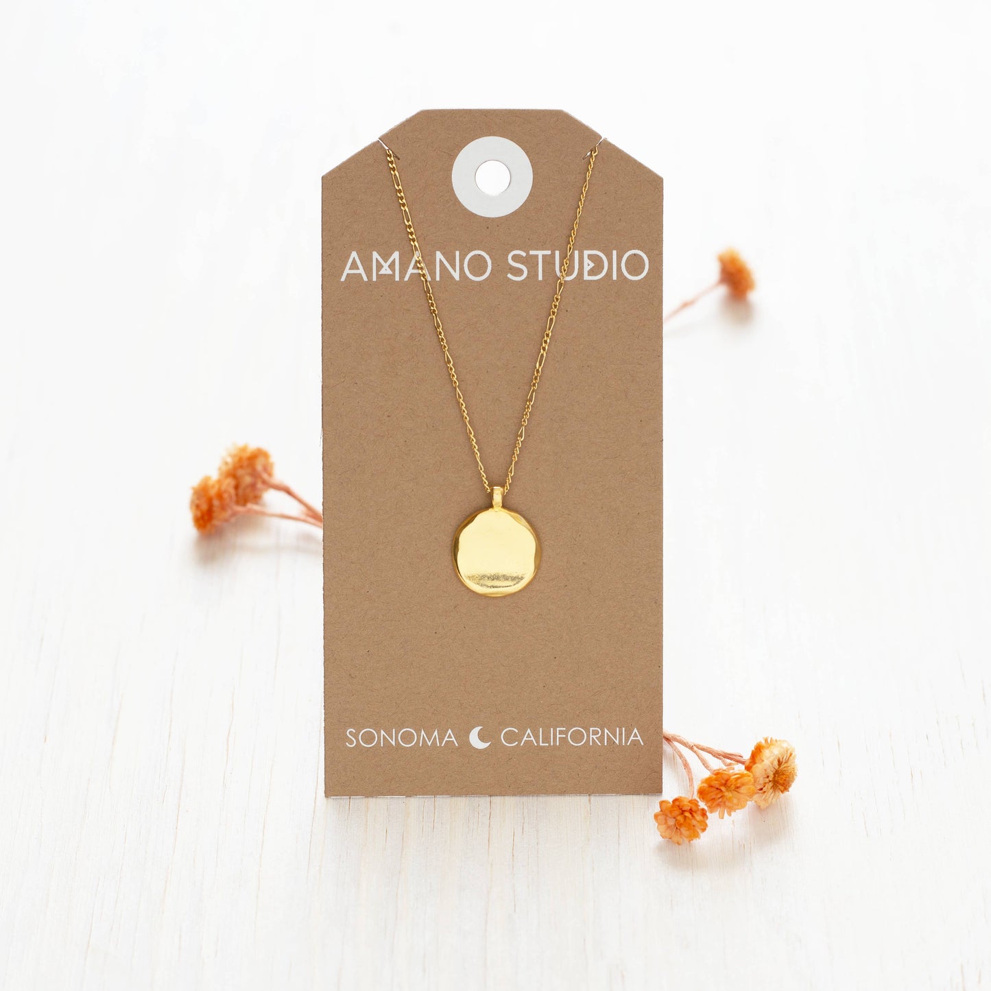 Organic Form Disk Necklace