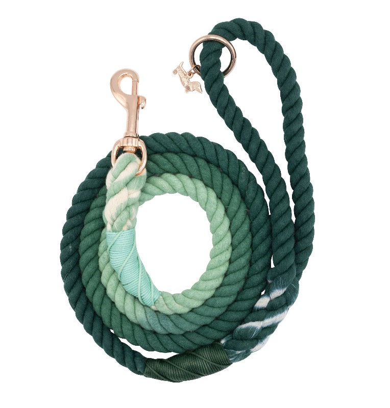 Hombre Rope Dog Leash in 4 Colors