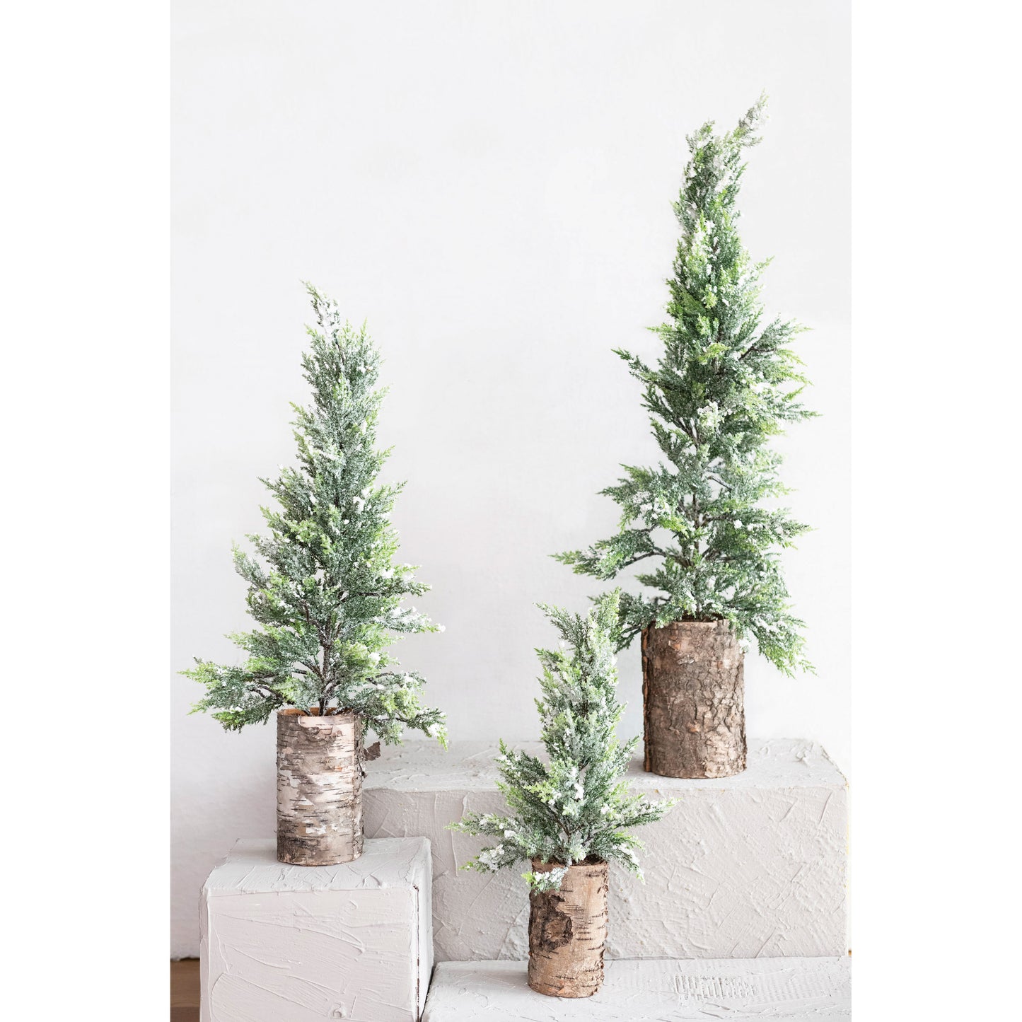 Small Faux Cypress Tree in Birch Bark Pot