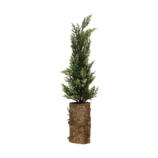 Large Faux Cypress Tree in Birch Bark Pot, Snow Finish
