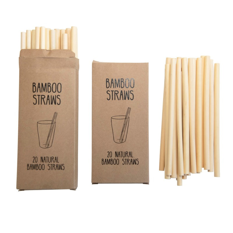 Bamboo Single Use Drinking Straws, Set of 20