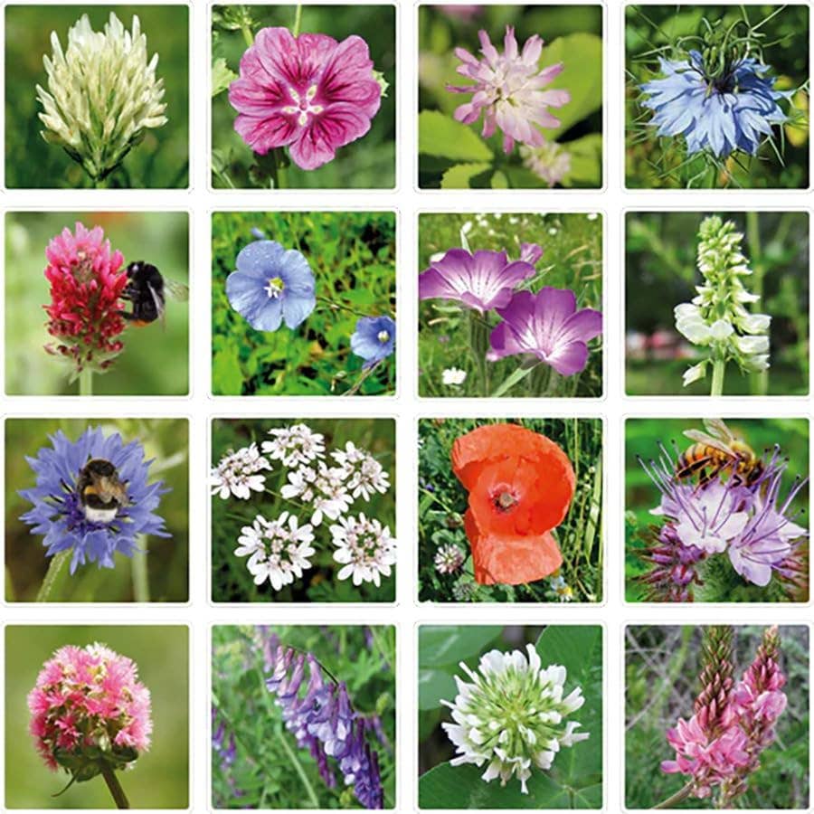 Wildflower Seed Bombs