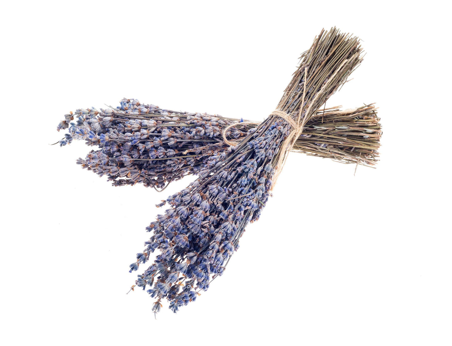 Fragrant Dried Grosso French Lavender Flowers Home Decor