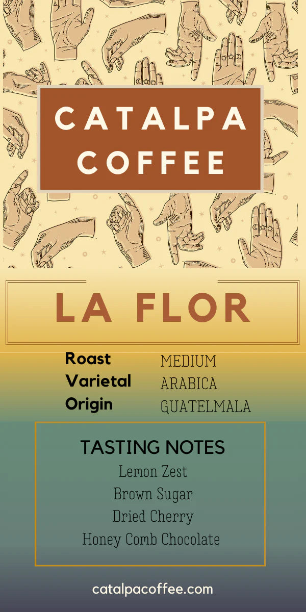 Catalpa Coffee