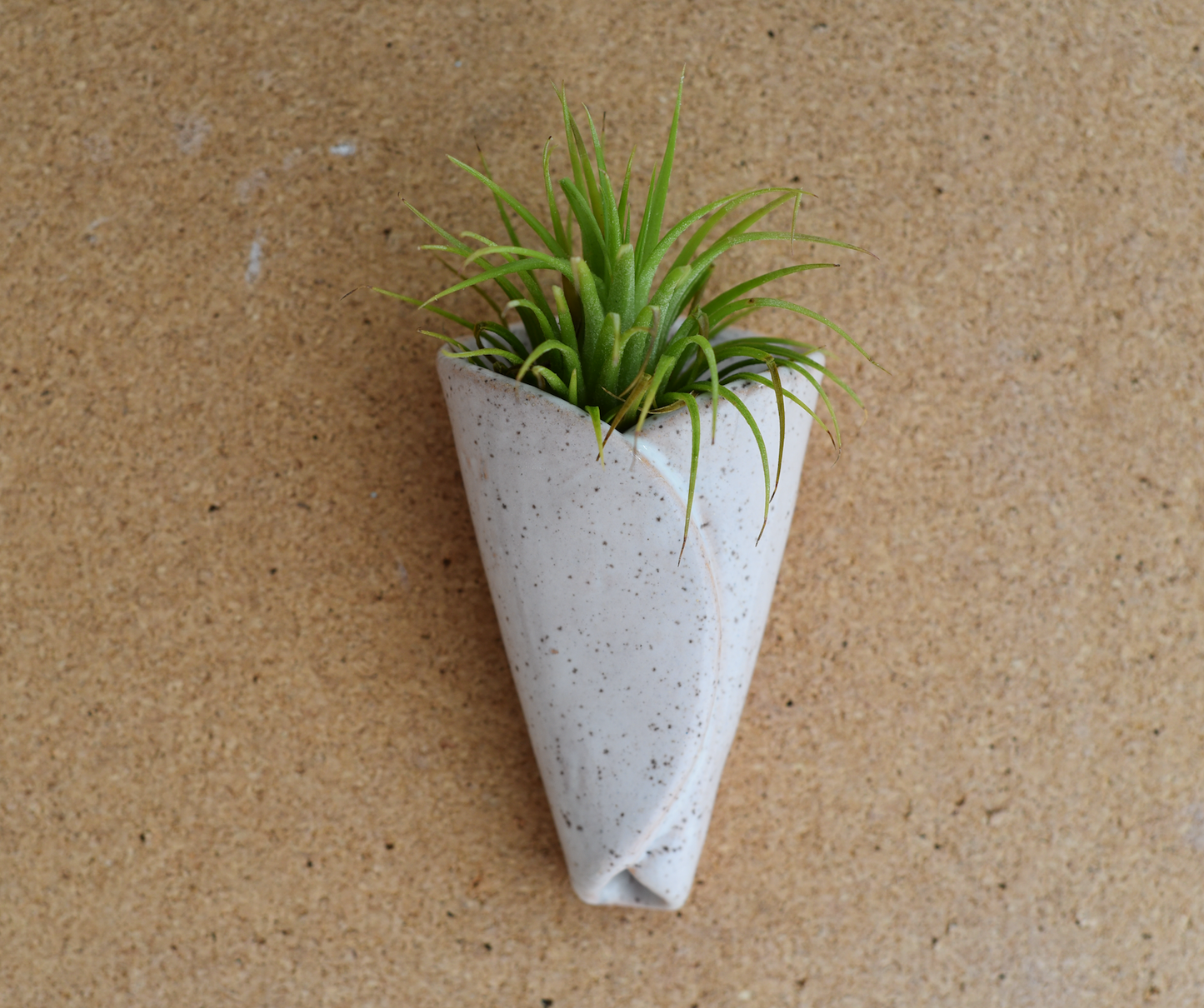 Air Plant Pottery