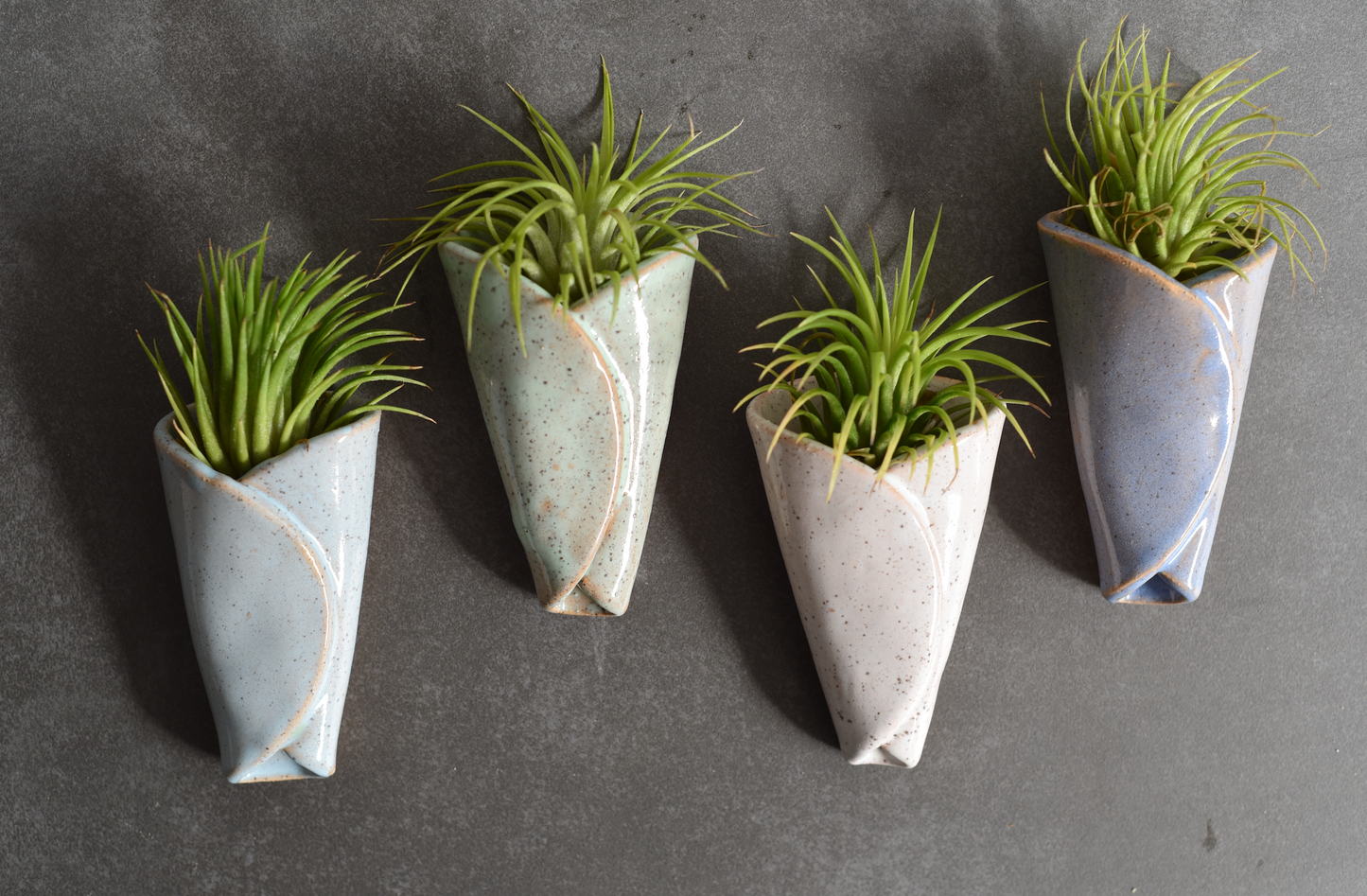 Air Plant Pottery