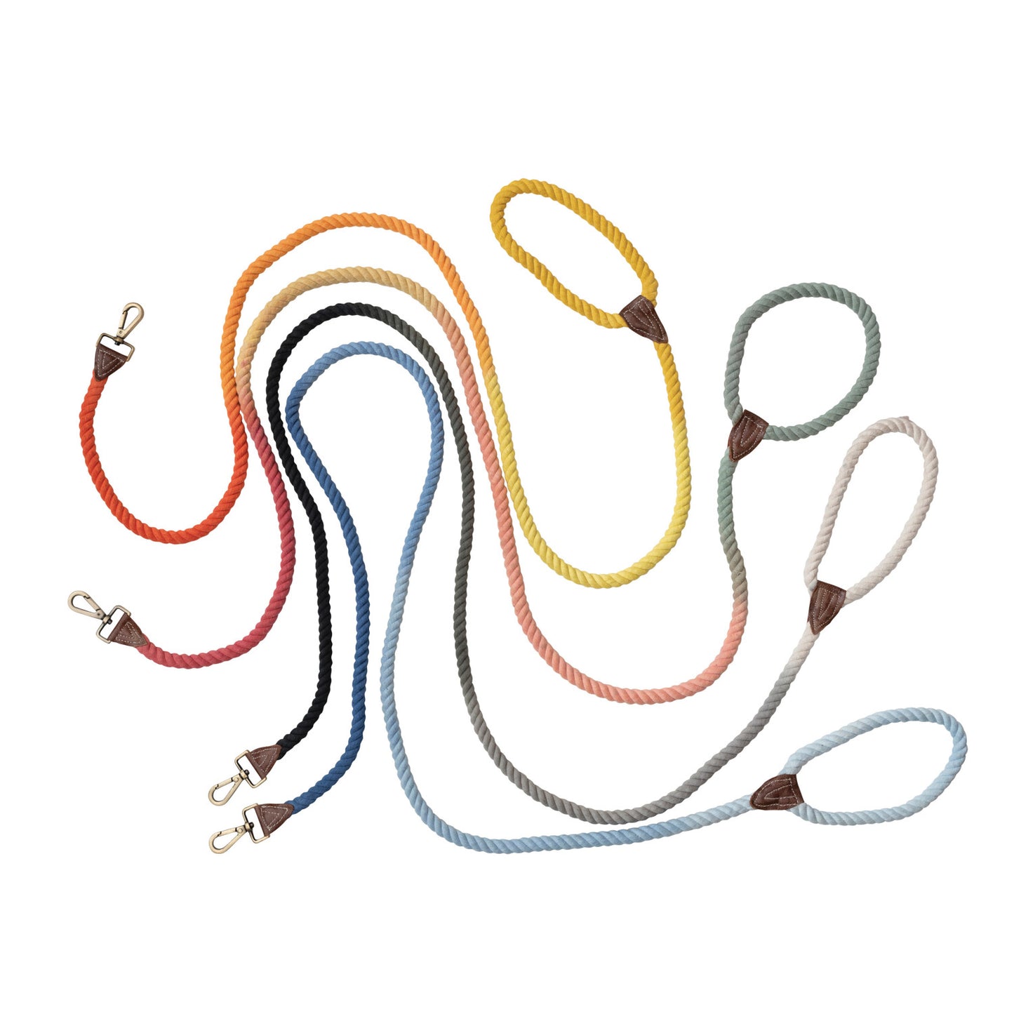 Braided Cotton Rope & Leather Dog Leash w/ Metal Clasp, 4 Colors